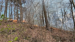 7000 Quadratmeter Vegetation standen in Brand