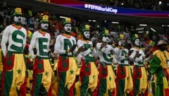 Für senegalesische Fans wird die Reise zur Fußball-WM äußerst kostspielig.