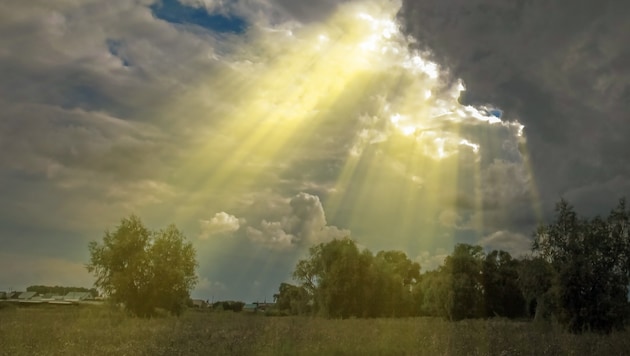 Woher Hoffnung nehmen, wenn sie immer wieder enttäuscht wird, wie gerade in den vergangenen ...