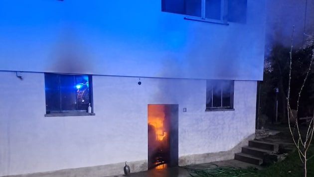 Drei Hühner und ein Hund konnten den Flammen nicht entrinnen