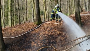 86 Feuerwehrmitglieder rückten aus.