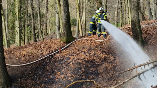 86 Feuerwehrmitglieder rückten aus.