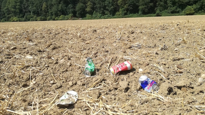 Achtlos weggeworfener Müll gefährdet Tiere-