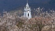 Dürnstein in der Wachau verzaubert derzeit mit seiner Blütenpracht.