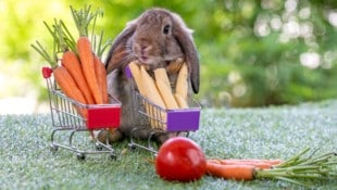 Die „Krone“ hat eine Auswahl an Geschäften, die offen haben, zusammengestellt.