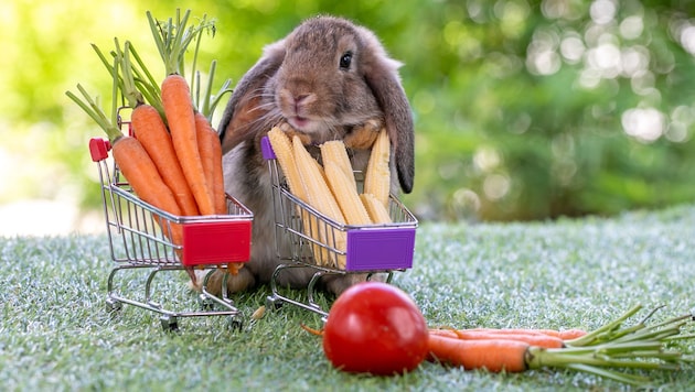 Die „Krone“ hat eine Auswahl an Geschäften, die offen haben, zusammengestellt.