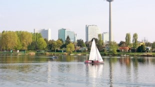 Das gekenterte Segelboot auf der Alten Donau wurde von Einsatzkräften wieder aufgerichtet. ...
