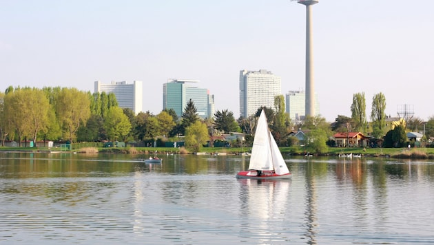 Das gekenterte Segelboot auf der Alten Donau wurde von Einsatzkräften wieder aufgerichtet. ...