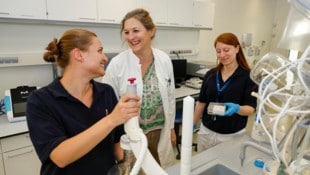 Eva Rohde mit Team: An der Paracelsus Medizinischen Privatuniversität wurde ein Reinraum-Labor ...