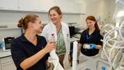 Eva Rohde mit Team: An der Paracelsus Medizinischen Privatuniversität wurde ein Reinraum-Labor ...