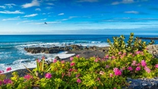 Das letzte Foto (Symbolbild), das Oliver Heise geschickt hatte, wurde auf Teneriffa aufgenommen. ...