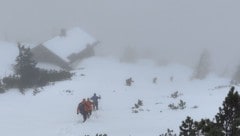 Sieben Bergretter stiegen zu der Frau ab.