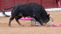 In Spanien ist ein ehemaliger Stierkämpfer von einem Bullen attackiert worden und gestorben ...
