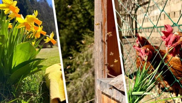 „Ostern in Österreich: Die Sonne strahlt, die Temperaturen steigen – draußen sein lohnt sich ...