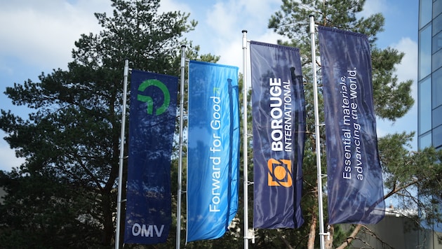 Die OMV und ADNOC halten als gleichberechtigte Partner je 50 Prozent an der Borouge ...