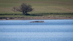 „Er muss die Chance zum Überleben haben“, sagt Landwirtschaftsminister Till Backhaus. Deshalb ...