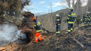 Stundenlang bekämpften die Einsatzkräfte den Brand