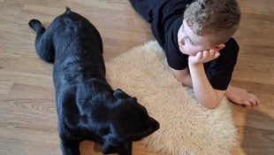 „Sassy“ wohnt jetzt bei Martin. 