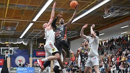 „Höhenflug“ von Sylven Landesberg