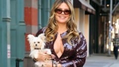 Heidi Klum hat ihr Herz an „Fritz“ verloren. Nur Ehemann Tom ist von dem Welpen so gar nicht ...