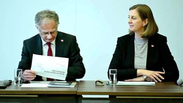 Finanzminister Marterbauer und seine Staatssekretärin Eibinger-Miedl haben harte Wochen vor ...