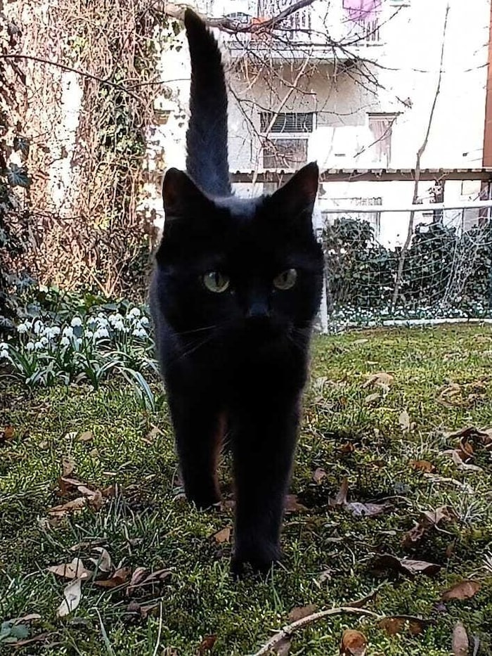 Wer weiß, wo die liebe Zora ist?