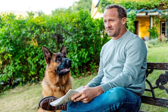 Dynamisches Duo: Rex und sein neues Herrl, Chef-Inspektor Max Steiner (Maximilian Brückner).