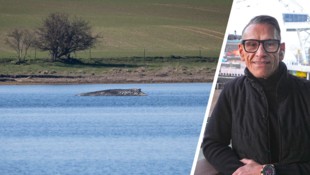 Seit mehr als einer Woche beschäftigt das Schicksal von Buckelwal „Timmy“ alle, auch ...