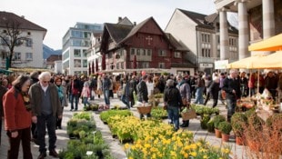 Die Stadt Dornbirn zählt die meisten Einwohner.