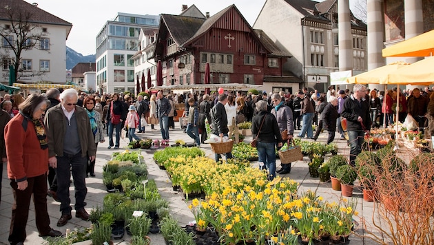 Die Stadt Dornbirn zählt die meisten Einwohner.