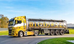 Biodiesel wird meist regional produziert.