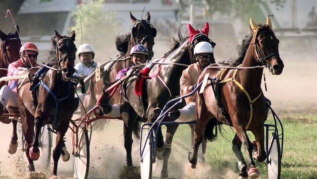 Auch in Wels wird am Wochenende wieder getrabt.