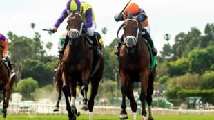 AP/AP ( via APA) Austria Presse Agentur In England sind Pferderennen extrem beliebt.