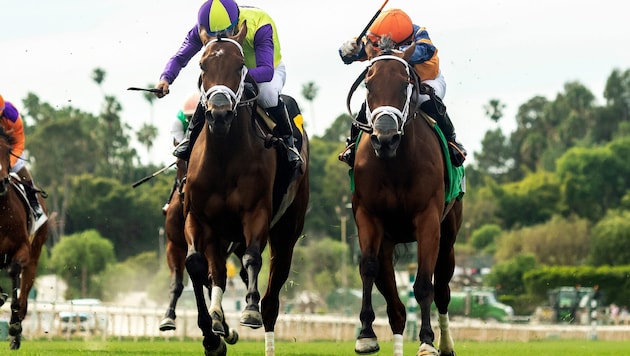 In England sind Pferderennen extrem beliebt.