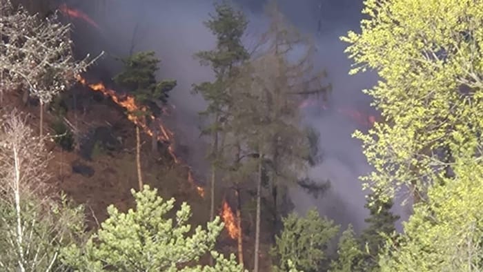 Das Gelände erschwerte die Löscharbeiten.
