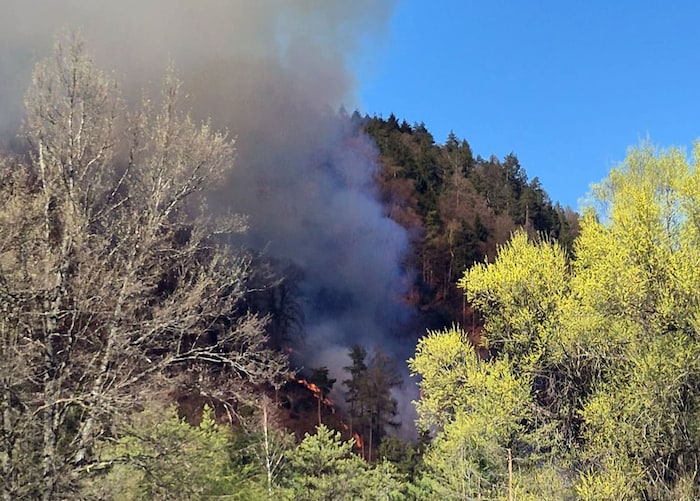 Die Flammen fraßen sich durch das Gelände.