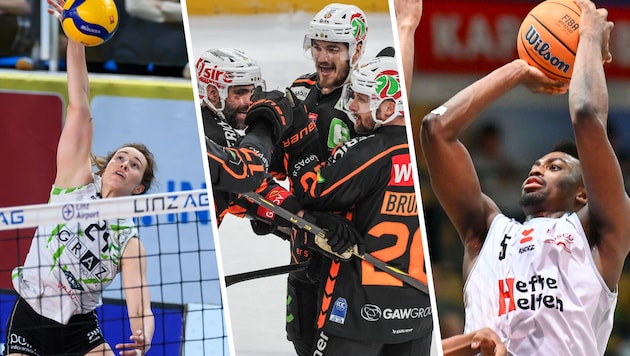 UVC Graz, die 99ers und die Kapfenberg Bulls könnten noch richtig absahnen