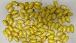 Der Verdächtige hatte Dutzende Päckchen in seinem Magen. 