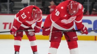 Detroit musste sich den Columbus Blue Jackets geschlagen geben.