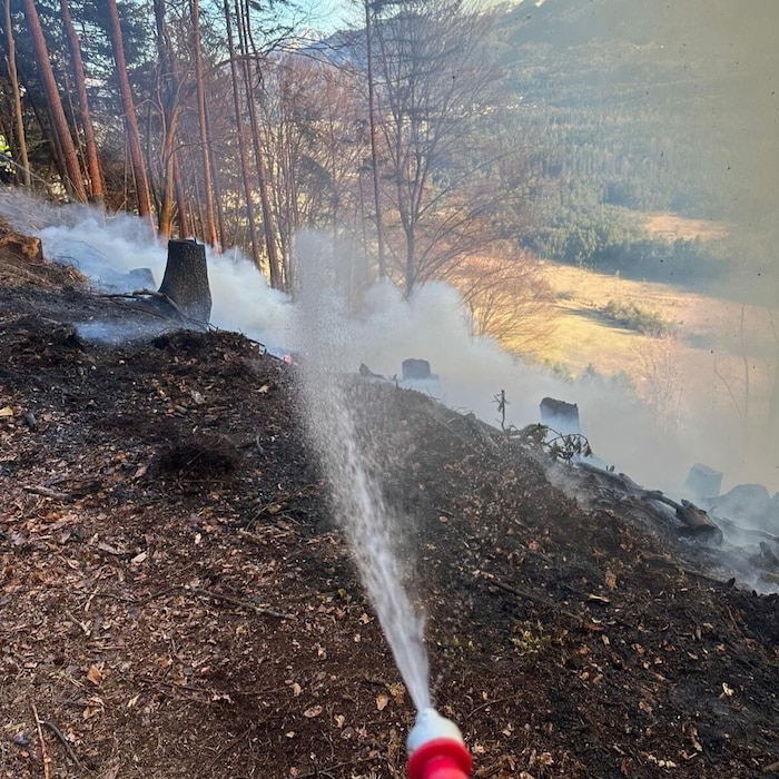 Die Wehren beim Löscheinsatz.