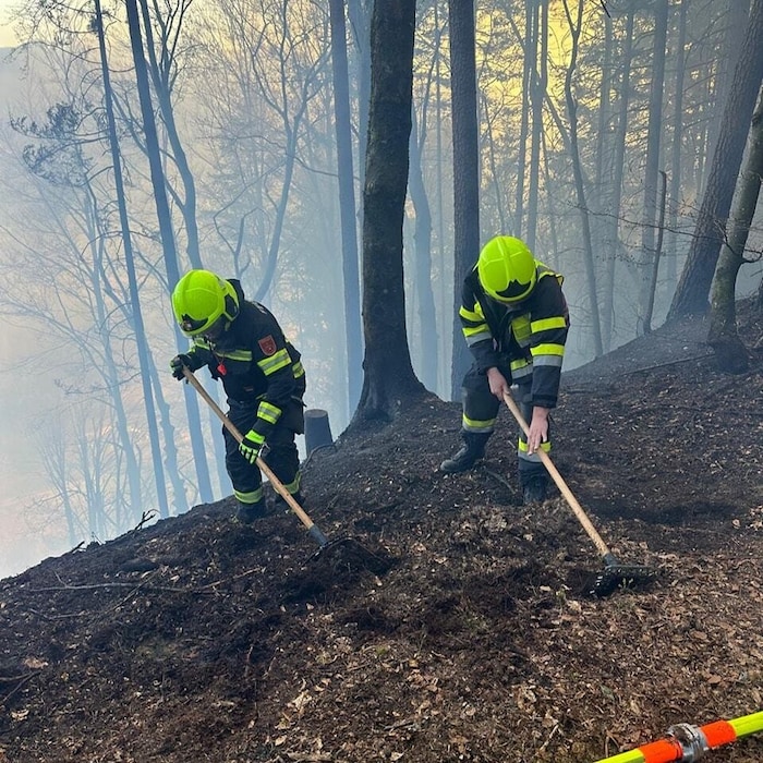 Viele Glutnester müssen entfernt werden.