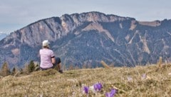 Auch in Österreich lässt sich gut Urlaub machen.