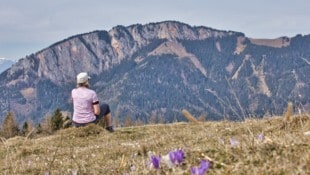 Bei so einem herrlichen Ausblick schlägt jedes Wanderherz höher! 