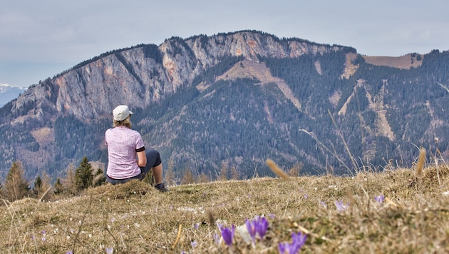 Auch in Österreich lässt sich gut Urlaub machen.