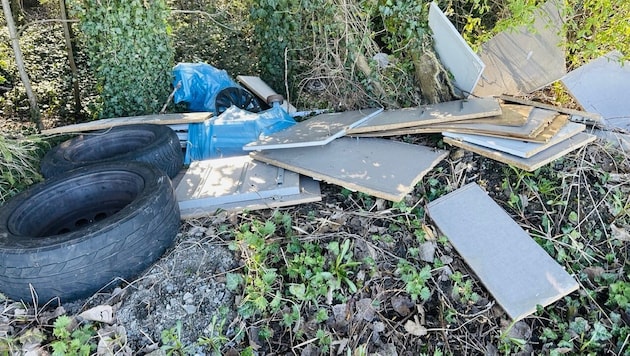 Autoreifen und zerlegte Kästen einfach in den Wald geschmissen.