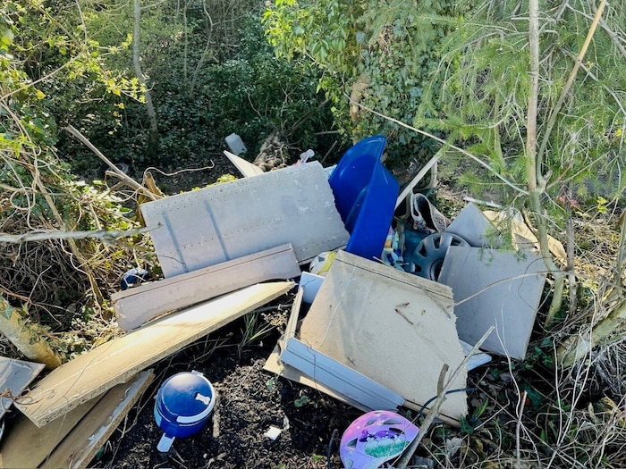 Kein schöner Anblick: Müll im Wald.