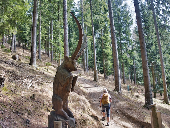 Heimische Waldtiere wurden für den Holzskulpturenweg kunstvoll geschnitzt.