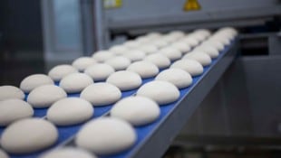 Mit Tiefkühlprodukten wie Germknödeln ist man Marktführer – auch auf fast allen Skihütten.