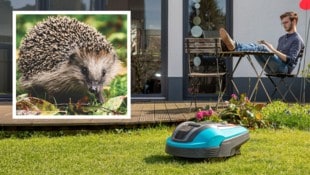 Bequem entspannen, während der Roboter die Arbeit erledigt. Ein Traum für „faule Gärtner“, ...