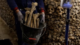 Die Pariser Katakomben entstanden Ende des 18. Jahrhunderts während einer Gesundheitskrise.